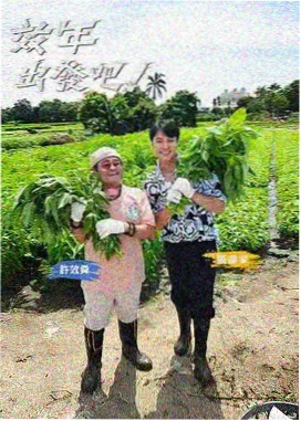 乘风破浪2026 天天影院在线观看免费高清电视剧